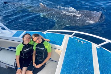Whale Shark Tour from Cancun, Playa del Carmen, Tulum and Riviera Maya