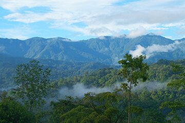 Eco-Adventure at Veragua Rainforest