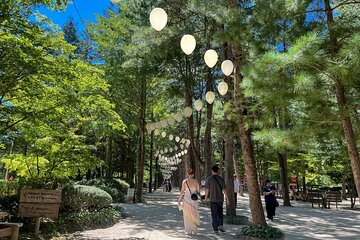 Nami Island Trip with Petite France & Italian Village and Gangchon Rail Bike