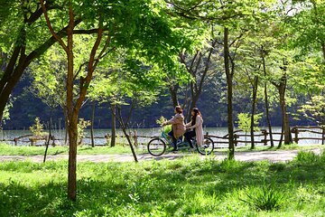 Seoul Vicinity 5 in 1: Nami Island, Garden of Morning Calm & More
