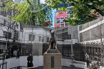 Shibuya Highlights Hachiko Scramble Meiji Jingu and Sky