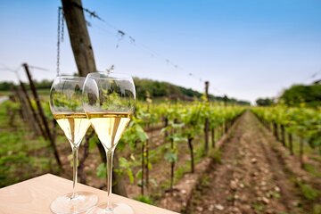 Franciacorta Wine Tasting Tour from Milan with Lake Iseo Cruise