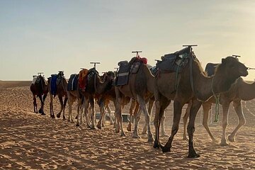 3 Day Desert Tour to Merzouga from Marrakech