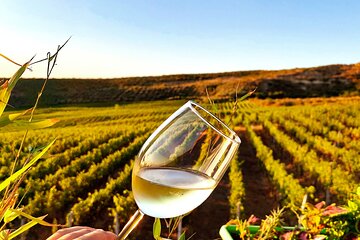 Durrës Countryside Vineyard Experience with Wine & Food Pairing