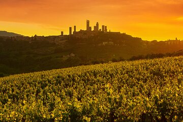 From Livorno San Gimignano Volterra and Wine Tasting