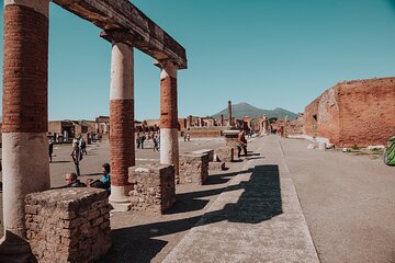 Pompeii and Herculaneum Small Group Excursion from Sorrento