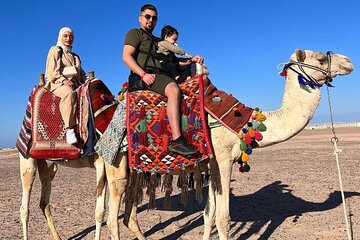 Camel Ride (1 Hour) – Explore the Desert Wonders -Sharm El Sheikh