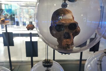 Sterkfontein Caves and Maropeng Museum Private Tour