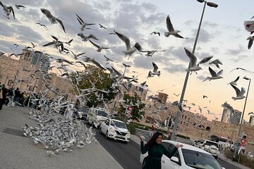 Dubai: Discovering Old Town A Creative Walking Tour Journey