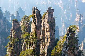 Private 1 Day Tour Zhangjiajie National Forest Park