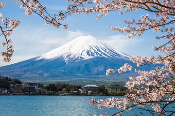 Private tour to Mount Fuji and Hakone from Tokyo 