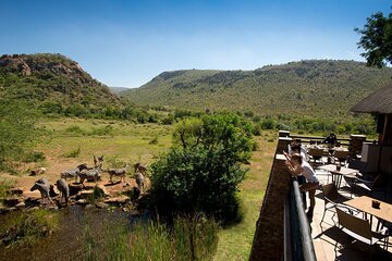 4 Day Pilanesberg Safari at Kwa Maritane Lodge