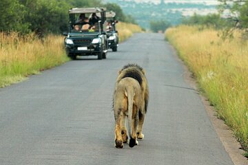 3 Day Pilanesberg Safari at Kwa Maritane Lodge