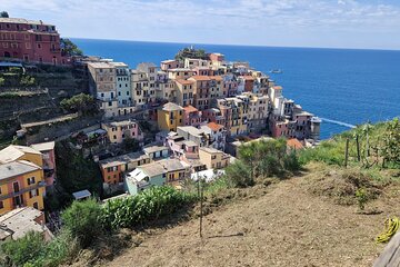 Private Full day, Excursion to 5 Terre and Pisa 