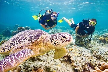 Marsa Mubarak Snorkeling Sea Trip with Transfer and Lunch
