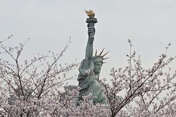Customizable Private Tokyo Trip with an English Speaking Driver