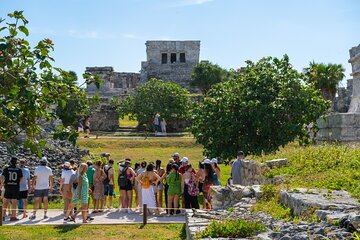 Private Tulum Ruins and Swim with Turtles