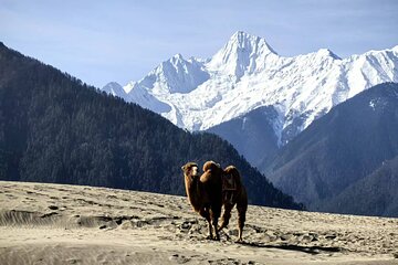 Private 7-Day Tour Overland to Tibet from Chengdu