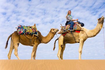 Two hours Camel Riding At Amazing Desert With Transfer - Marsa Alam
