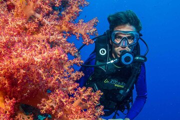 Scuba Diving Experience for Beginners with Lunch – Marsa Alam