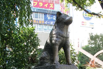 Shibuya Morning Tour with Local Guide in Spanish