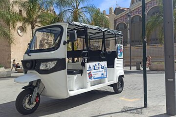 Private Tour with Tuktuk in Valencia