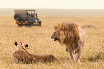 2 Day Nairobi Guided and Interactive Sightseeing Tour