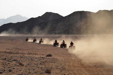 Agadir & Taghazout: Quad Bike Safari with Goats in Argan Trees