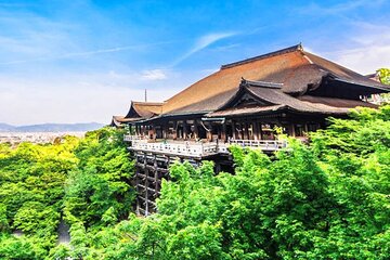 Kiyomizu Temple, Fushimi Inari Taisha & Nara Park Day Tour