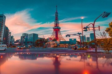 Tokyo Temples and Traditions Private Tour