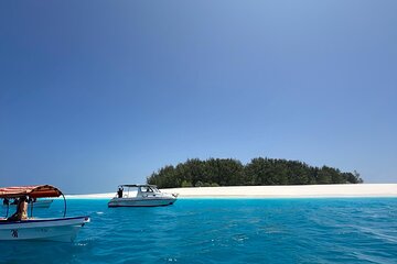 Zanzibar Dolphin Watching Snorkeling Activity