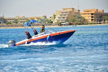 Swim with Dolphin By Semi Private Speedboat & Transfer - Hurghada