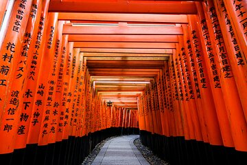 Kyoto Tour in Spanish: Fushimi inari Bamboo forest and Kinkakuji