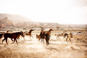 Cappadocia Photoshoot with Running Horses