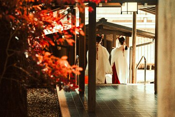Unlock Tokyo’s Secrets with a Custom Private Tour