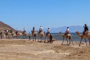 Blue Hole in Dahab By Bus with Lunch and Camel Ride - Sharm El-Sheikh
