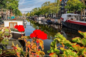 Private Half-Day Walking Tour of Amsterdam