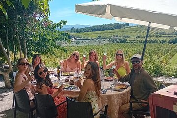 Douro Valley Vineyard Visits Wine Tasting Boat Ride and Lunch