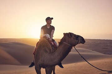2-Hour Camel Ride in the Beauty of the Desert – Sharm El Sheikh