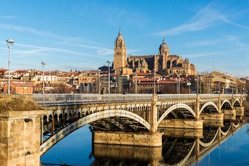 Salamanca and Iberian Ham Luxury Tour from Madrid