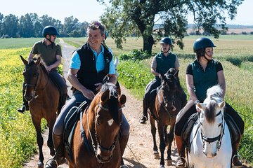Horseback riding around Doñana