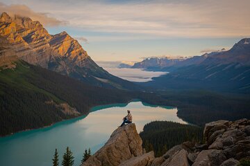 Emerald Lake,Natural Bridge, Peyto Lake Small Group Half Day Tour