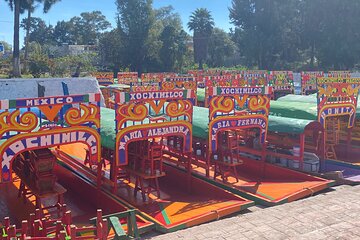 Private Tours: Xochimilco, Coyoacán and its markets 
