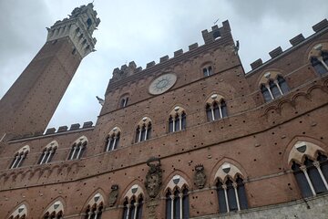 Private Chianti Tour with Lunch and Wine Tasting 