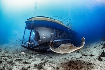 Submarine Tour with Hotel Pickup Tenerife South