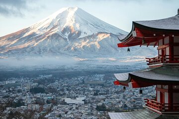 Luxury Mt. Fuji & Hakone Day Tour by Private Car + English Driver
