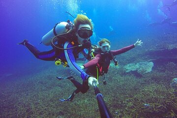 Tiran Island Full Day 2 Diving Stops Trip & Lunch–Sharm El Sheikh