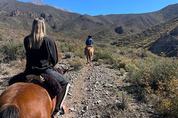 Mendoza Private Horseback Ride Experience