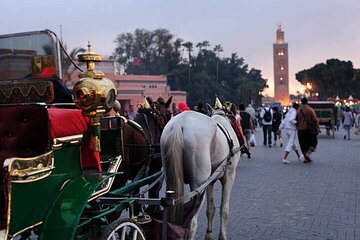 Marrakech 1 hour Horse Carriage Rides