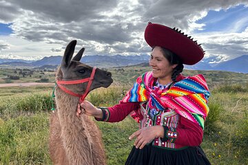 the best sacred valley tour: walk with Alpacas,culture experience